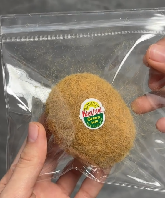 Kiwi Squishy