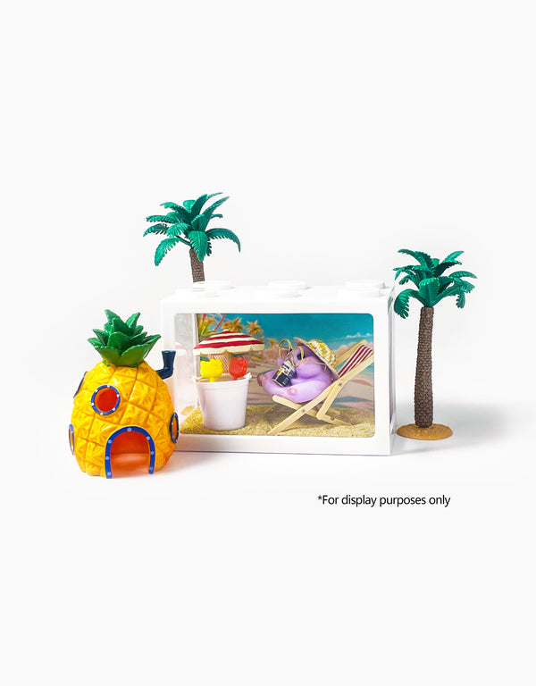 Vacation Time Squishy Display Box