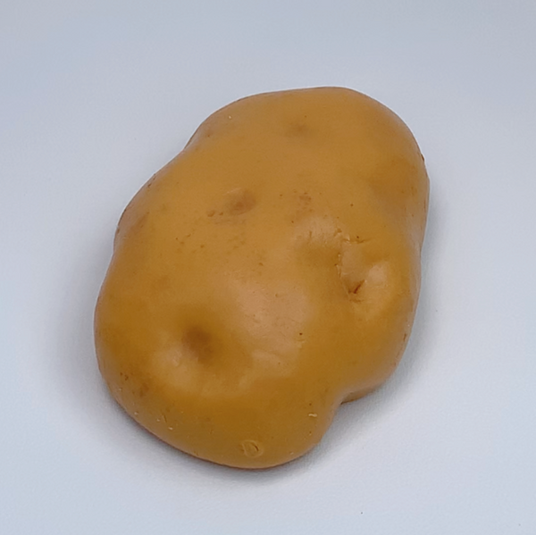 Realistic Potato Squishy