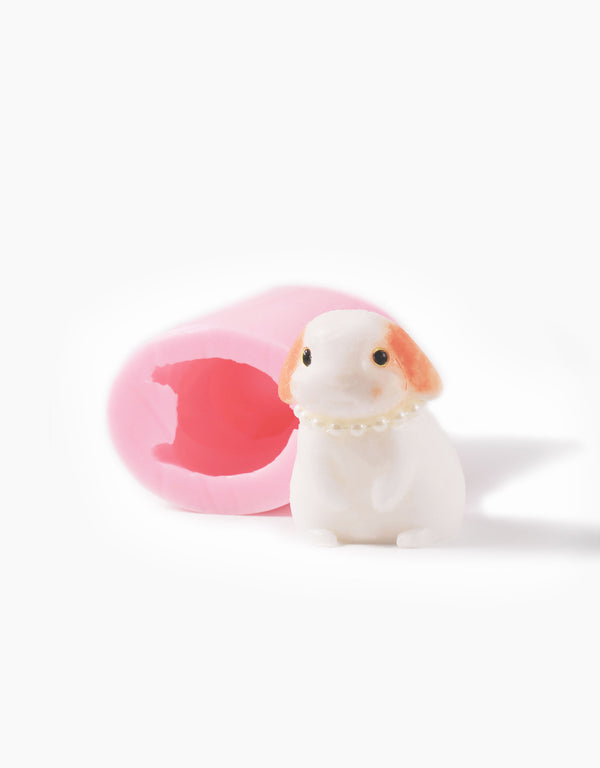 Bunny Squsihy Mold