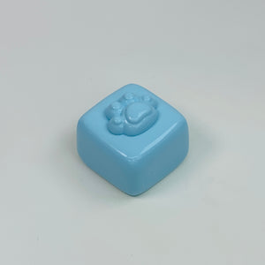 Blue Paw Cube