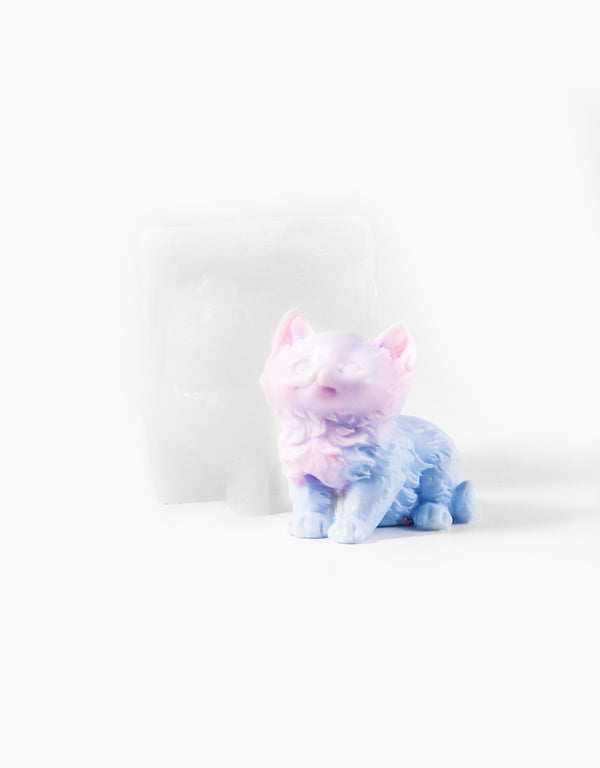 Cat Squsihy Mold